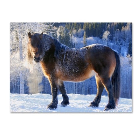 AnnicaWesterlund 'King Of The Valley' Canvas Art,14x19